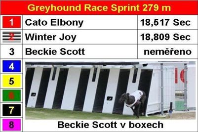 Berg_Toys_Cup_Greyhound_Park_Motol_CGDF_Finals_3-u.jpg