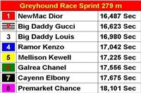 Berg_Toys_Cup_Greyhound_Park_Motol_CGDF_Finals_1-u.jpg