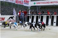 2. Greyhound_Park_Motol_Czech_Greyhound_Racing_Federation_IMG_9386_v.JPG