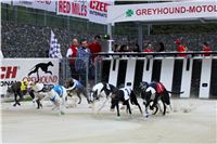 2-Greyhound_Park_Motol_Czech_Greyhound_Racing_Federation_IMG_9386_v.jpg