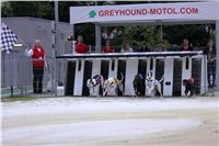 6. Greyhound_Park_Motol_Czech_Greyhound_Racing_Federation_IMG_9437_v.JPG