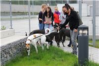 Greyhound_Park_Motol_Czech_Greyhound_Racing_Federation_IMG_9287.JPG