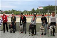 Greyhound_Park_Motol_Czech_Greyhound_Racing_Federation_IMG_9423_v-u.jpg