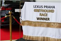 Lexus_Praha_Greyhound_Race_IMG_0362-v.JPG