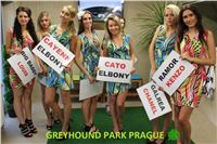 Lexus_Praha_Greyhound_Race_classic_IMG_0182_u2.JPG