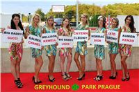 Lexus_Praha_Greyhound_Race_sprint_IMG_0305_u.JPG