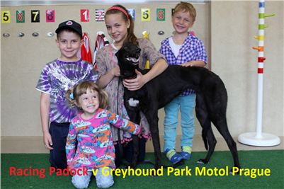 Racing_Paddock_Greyhound_Park_Motol_CGDF_ IMG_0734.JPG