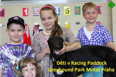 Racing_Paddock_Greyhound_Park_Motol_CGDF_ IMG_0735.JPG