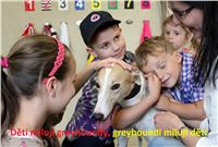 Racing_Paddock_Greyhound_Park_Motol_CGDF_ IMG_0800.JPG