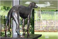 Areal_Greyhound_Parku_Pripraven_CGDF_Lexus_Greyhound_Race_2013_Czech_Greyhound_Racing_Federation_IMG