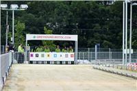 Lexus_Praha_Greyhound_Race_Classic_CGDF_DSC_7773.jpg