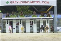 Lexus_Praha_Greyhound_Race_Classic_CGDF_DSC_7774.jpg