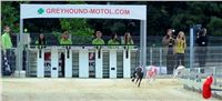 Lexus_Praha_Greyhound_Race_Classic_CGDF_DSC_7799.jpg