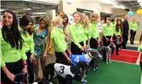 Lexus_Praha_Greyhound_Race_IMG_0212.jpg