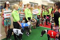 Lexus_Praha_Greyhound_Race_IMG_0229.jpg