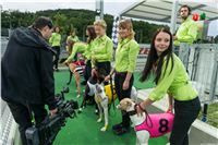 Lexus_Praha_Greyhound_Race_Racing_Paddock_CGDF_2130626_227.jpg