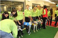 Lexus_Praha_Greyhound_Race_Racing_Paddock_CGDF_IMG_0198.JPG