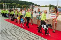 Lexus_Praha_Greyhound_Race_Sprint_CGDF_2130626_182.jpg