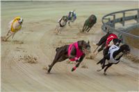 Lexus_Praha_Greyhound_Race_Sprint_CGDF_2130626_193.jpg