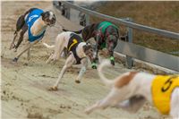 Lexus_Praha_Greyhound_Race_Sprint_CGDF_2130626_195.jpg