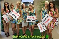 Lexus_Praha_Greyhound_Race_classic_IMG_0182_u2.jpg