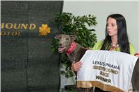 Kopie - Lexus_Praha_Greyhound_Race_Gucci_Winner_CGDF_256.jpg