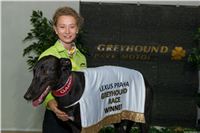 Lexus_Praha_Greyhound_Race_Winner_Gabbana_CGDF_2130626_259.jpg