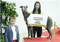 Lexus_Praha_Greyhound_Race_Winner_Gucci_CGDF_DSC_7877.jpg