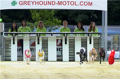 Lexus_Praha_Greyhound_Race_Classic_CGDF_DSC_7776.jpg