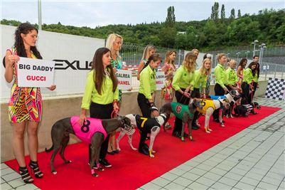 Lexus_Praha_Greyhound_Race_Sprint_CGDF_2130626_180.jpg