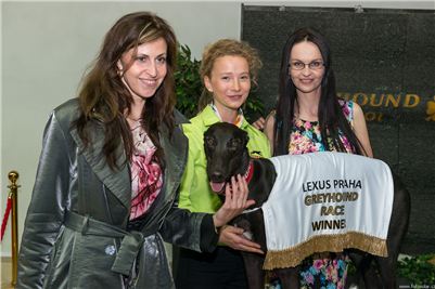 Lexus_Praha_Greyhound_Race_Winner_Gabbana_CGDF_2130626_278.jpg