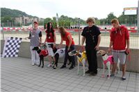Kobe_Open_Race_2013_Greyhound_Racing_Greyhound_Park_Motol_Prague_CGDF_IMG_1080.JPG