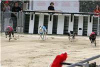 Kobe_Open_Race_Greyhound_Park_Motol_Prague_CGDF_NQ1M0120.JPG