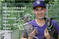 Winners_Kobe_Open_Race_2013_Greyhound_Park_Motol_CGDF.jpg