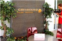 002_Press_conference_Greyhound_Park_Motol_Opening_CGDF_IMG_1621.JPG