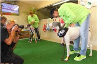 028_Press_conference_Greyhound_Park_Motol_Opening_CGDF_PANK9622.JPG