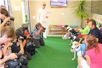 26_Press_conference_Greyhound_Park_Motol_Opening_CGDF_IMG_1700.jpg