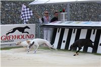 Greyhound_Park_racing_artists_kids_greyhounds_CGDF_IMG_2023.JPG