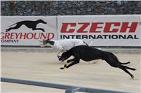 Greyhound_Park_racing_artists_kids_greyhounds_CGDF_IMG_2027.JPG