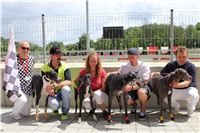 Greyhound_Park_racing_artists_kids_greyhounds_CGDF_IMG_2043.JPG