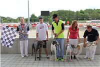 Greyhound_Park_racing_artists_kids_greyhounds_CGDF_IMG_2067.JPG