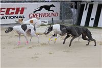 Greyhound_Park_racing_artists_kids_greyhounds_CGDF_IMG_2071.JPG