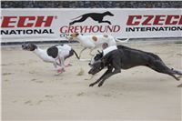 Greyhound_Park_racing_artists_kids_greyhounds_CGDF_IMG_2072.JPG