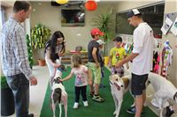 Greyhound_Park_racing_artists_kids_greyhounds_CGDF_IMG_2089.JPG