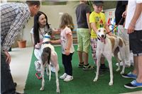 Greyhound_Park_racing_artists_kids_greyhounds_CGDF_IMG_2090.JPG