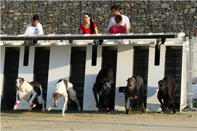 Greyhound_Racing_Track_Prague_CGDF_IMG_2507.jpg