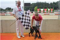 Greyhound_Race_Track_Prague_Greyhound_Park_Motol_whippet_CGDF_IMG_2615.JPG