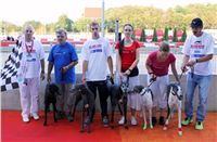 Greyhound_Racing_Track_Prague_CGDF_IMG_2504.JPG