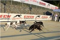 Greyhound_Racing_Track_Prague_CGDF_IMG_2512.JPG