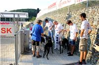 Greyhound_Racing_Track_Prague_CGDF_IMG_2530.JPG